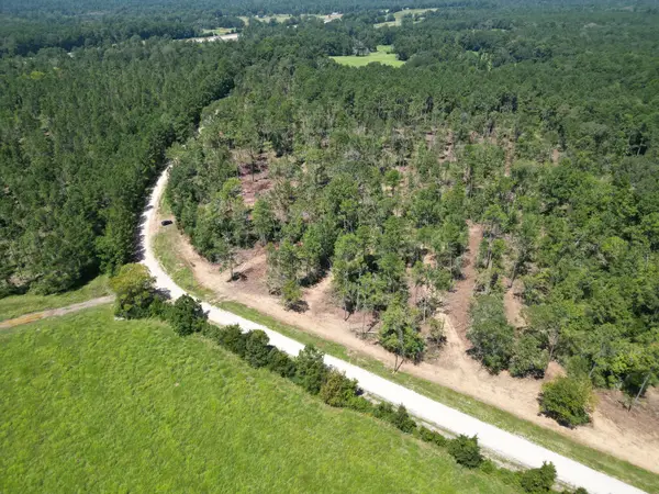 TBD Vick Spring Road, New Waverly, TX 77358