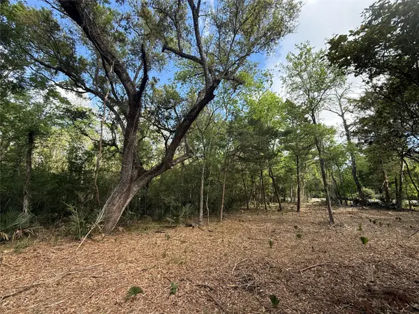 1 Cr 289, Sweeny, TX 77480