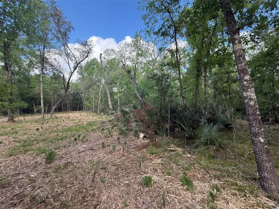 1 Cr 289, Sweeny, TX 77480 - #2