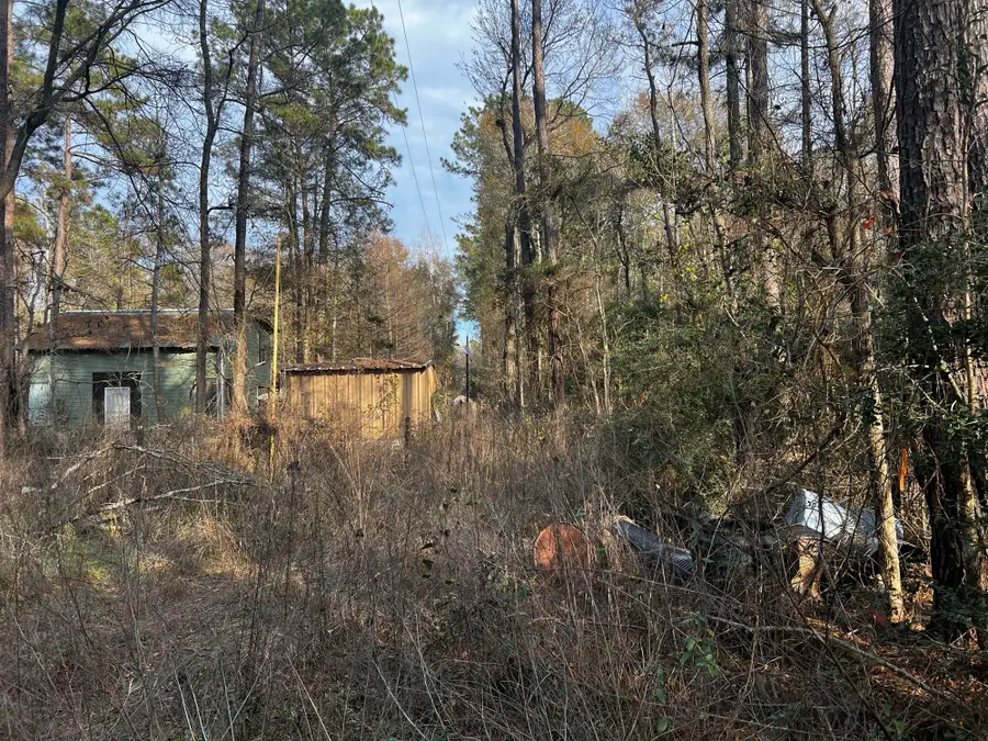 18579 Solomon, Cleveland, TX 77328 - #3