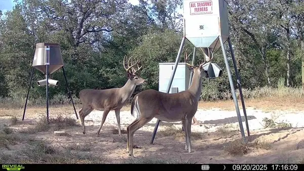 1147 County Rd 249, Ottine, TX 78658