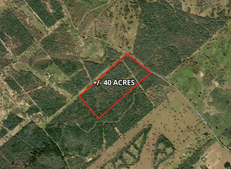 1147 County Rd 249, Harwood Ottine, TX 78658 - #2
