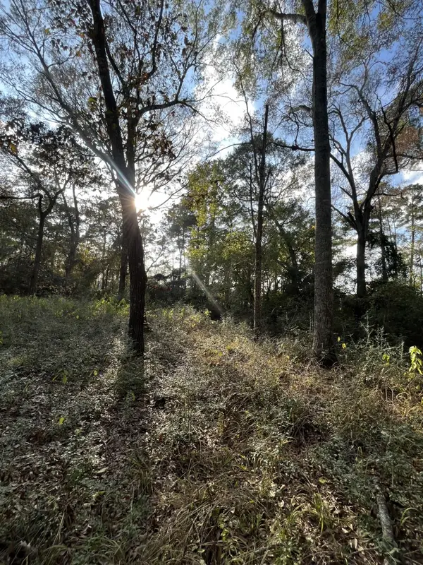 26870 Lazy Ln, Magnolia, TX 77355