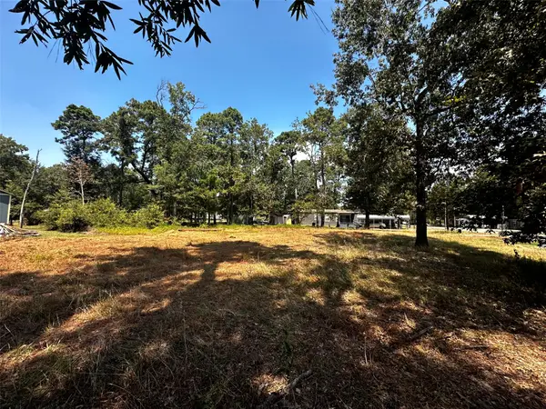 170 Tobago Lane, Point Blank, TX 77364