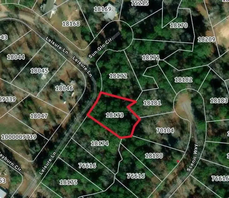 324 Leisure Lane, Etoile, TX 75944 - #1