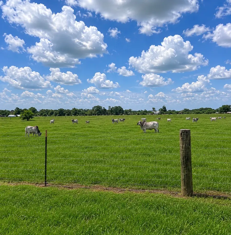 TBD Jozwiak Road, Hempstead, TX 77445 - #3
