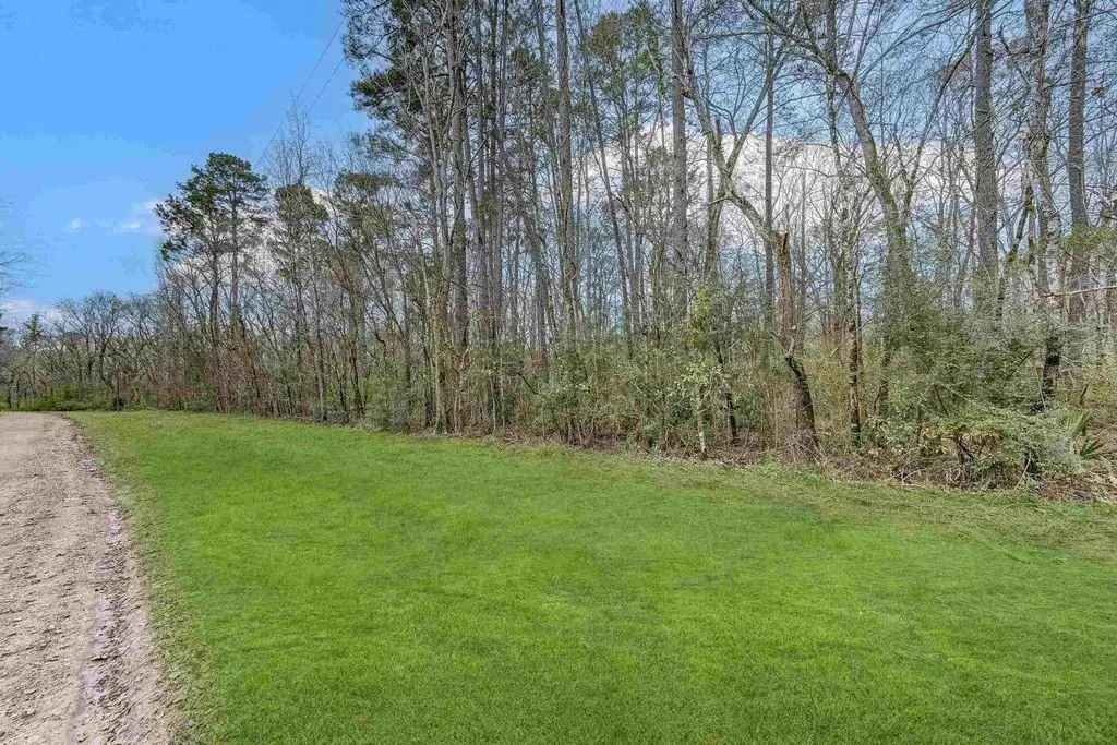 13015 Royal Estates Dr, Conroe, TX 77303 - #1