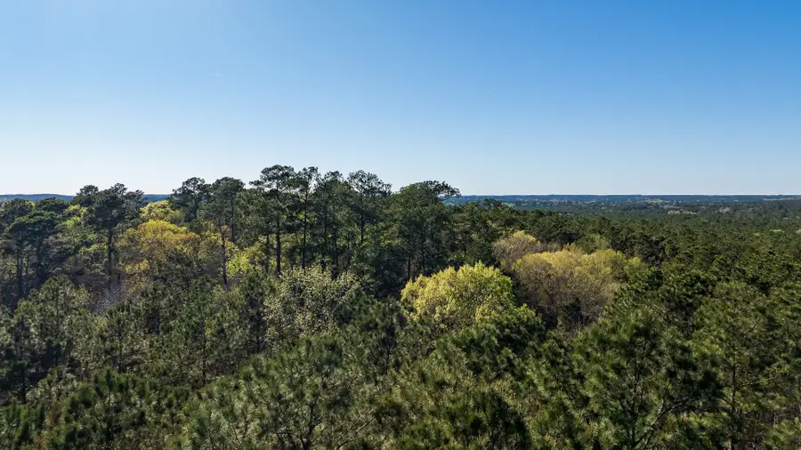 00 Hubert Cemetery Rd, Livingston, TX 77351 - #3