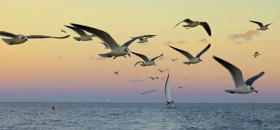 113 N Seaway Lane, League City, TX 77573 - Image #3