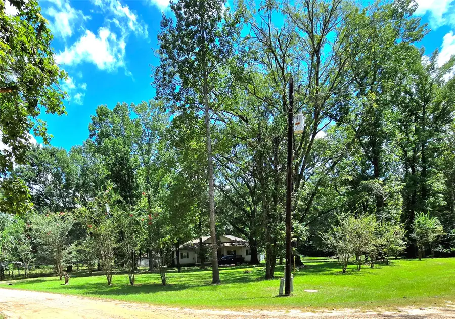 10 Elderberry Road, Shepherd, TX 77371 - Image #2