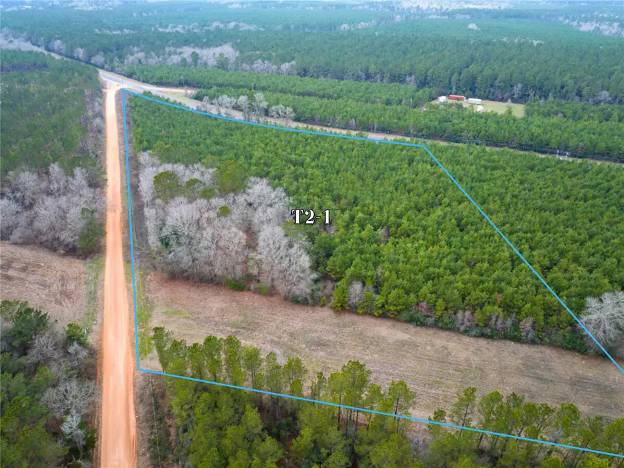 2 Menard Chapel Road, Livingston, TX 77351 - #3