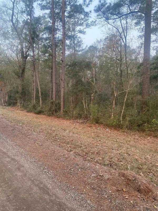TBD Hill Creek Drive, Coldspring, TX 77331
