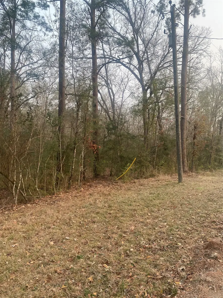 TBD Hill Creek Drive, Coldspring, TX 77331 - Image #2