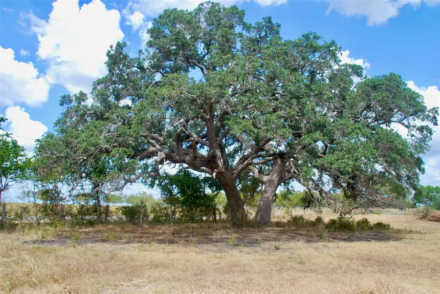 Tract 4 County Road 366, Shiner, TX 77984 - #2