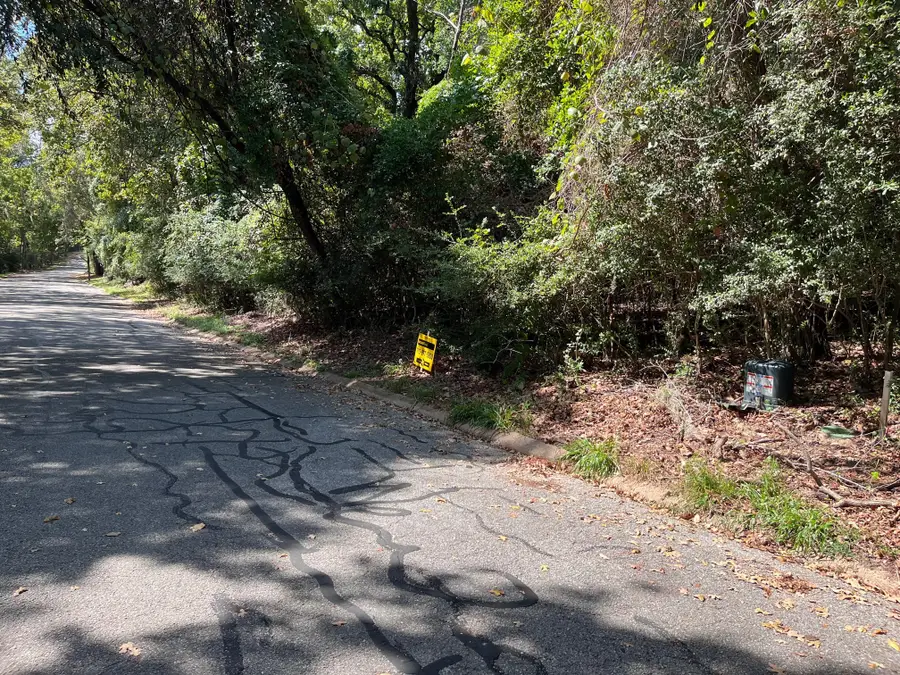 0 Bay Hill Drive, Huntsville, TX 77320 - #2