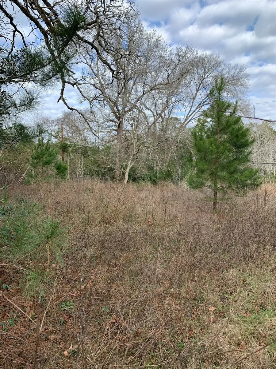 373 Johnson Road, Huntsville, TX 77320 - Image #2