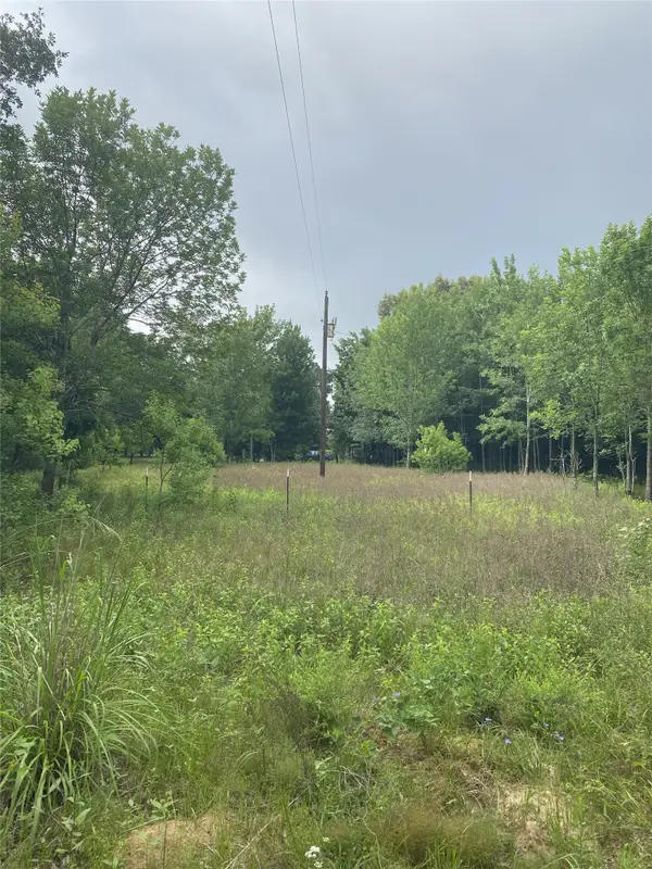 NA Cr 3052, Crockett, TX 75835
