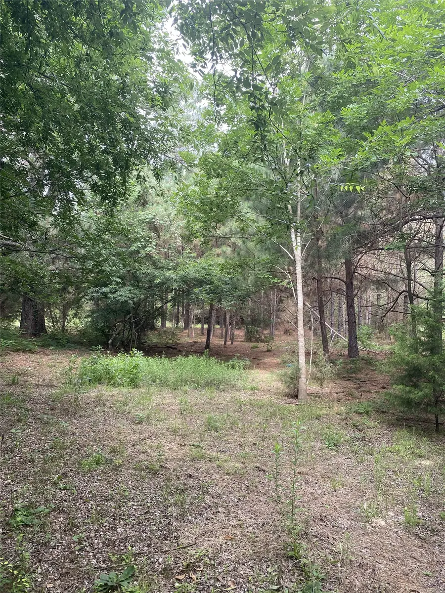 NA Cr 3052, Crockett, TX 75835 - #3