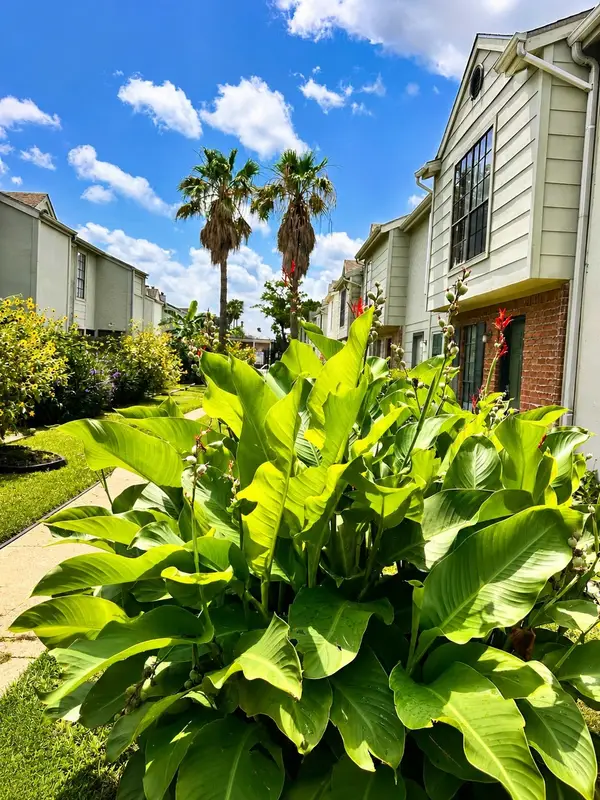 8714 Victorian Village Drive #8, Houston, TX 77071