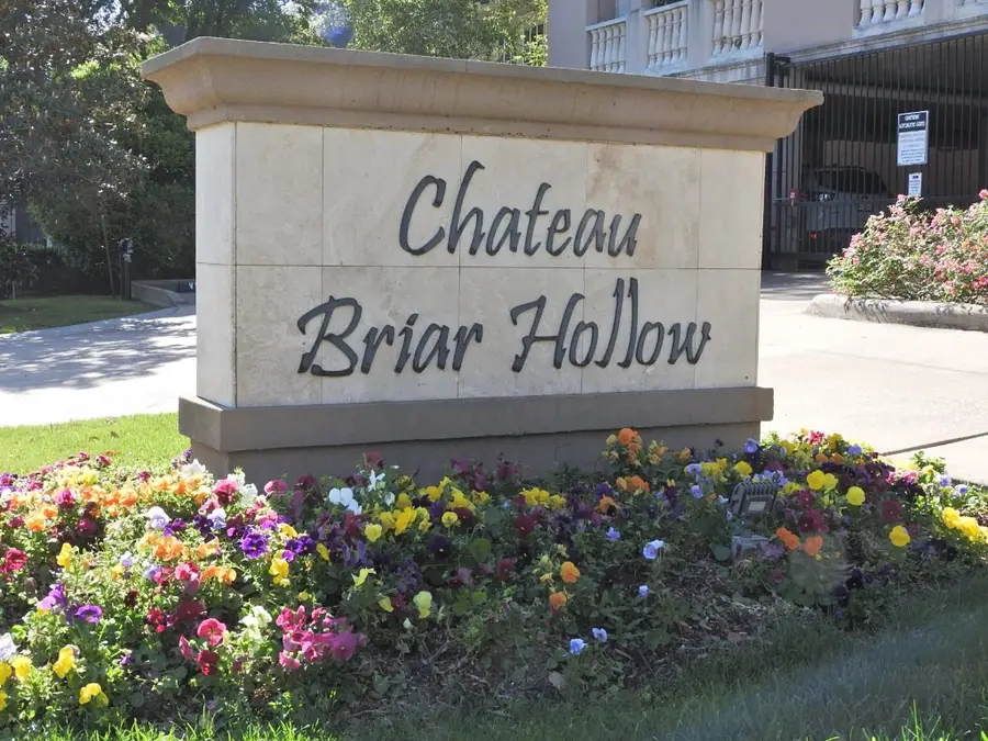 58 Briar Hollow Lane #204, Houston, TX 77027 - #3