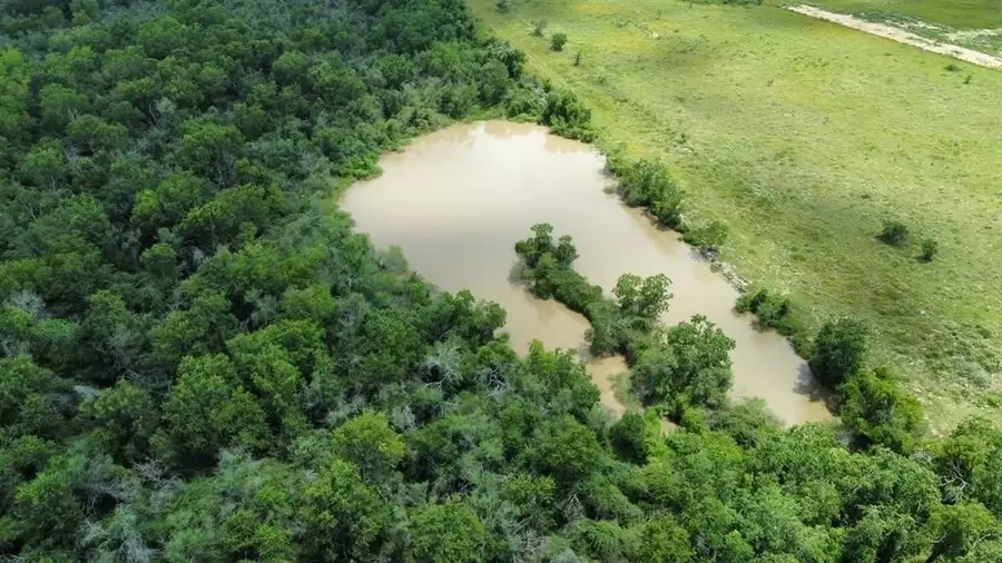 1966 Hluchan Road, Sealy, TX 77474 - #3