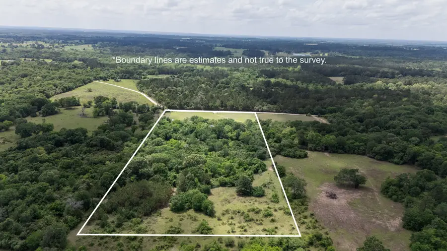 2077 County Road 408, Navasota, TX 77868 - #3