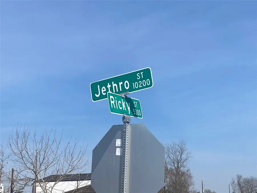 10126 Ricky Street, Houston, TX 77033 - #2