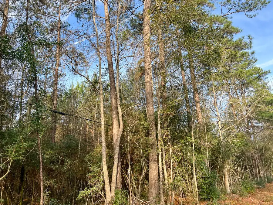 T-9 Fm 787, Saratoga, TX 77585 - #3