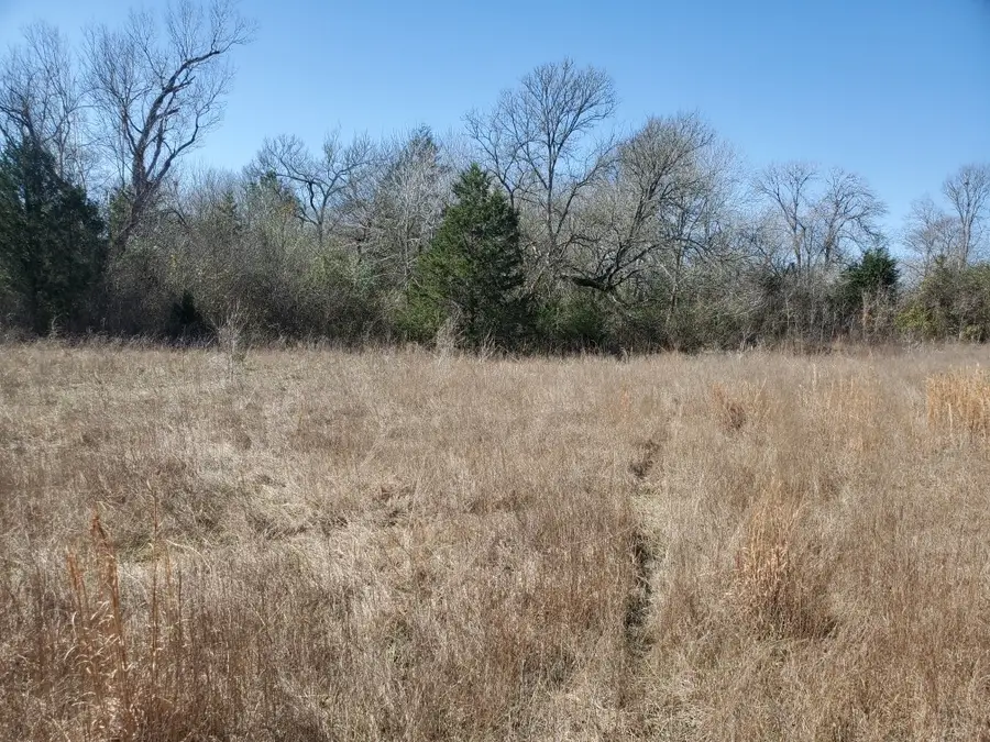 000 Fm 1774, Plantersville, TX 77363 - Image #2