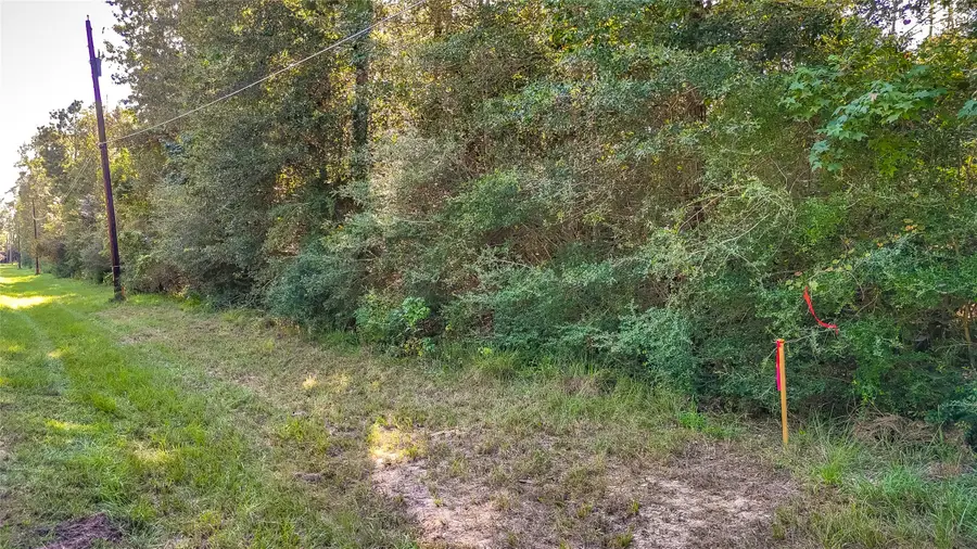 TBD 28 Timber Grove, Livingston, TX 77351 - #2