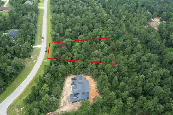 15806 Republic Ranch Road N, Willis, TX 77378