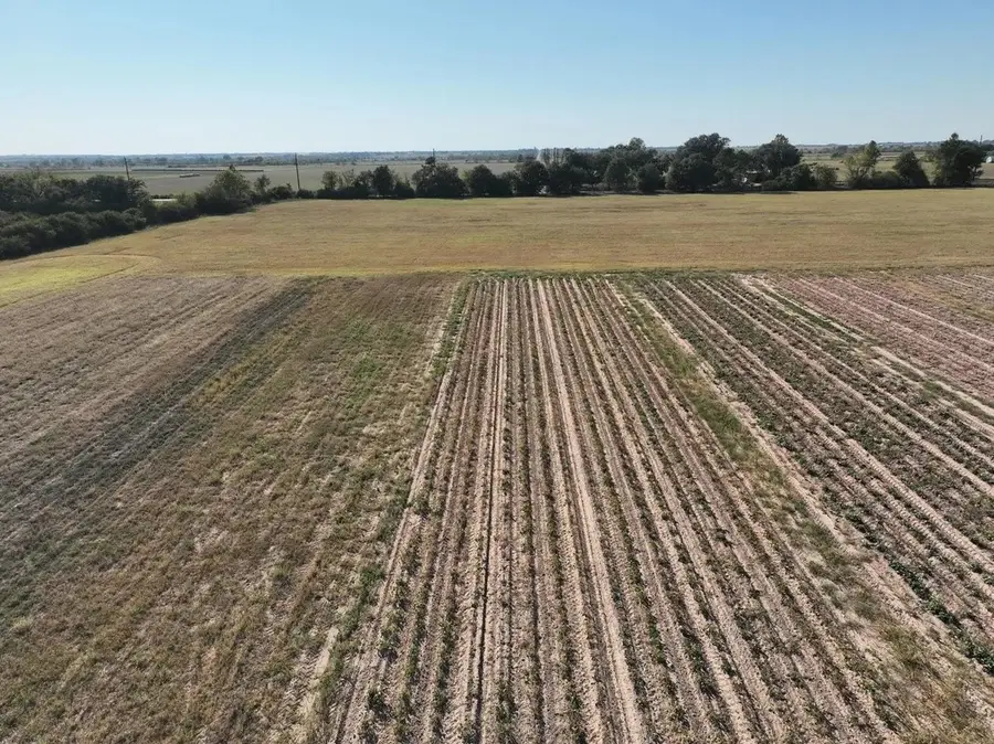 14126 Penick Road, Waller, TX 77484 - Image #2