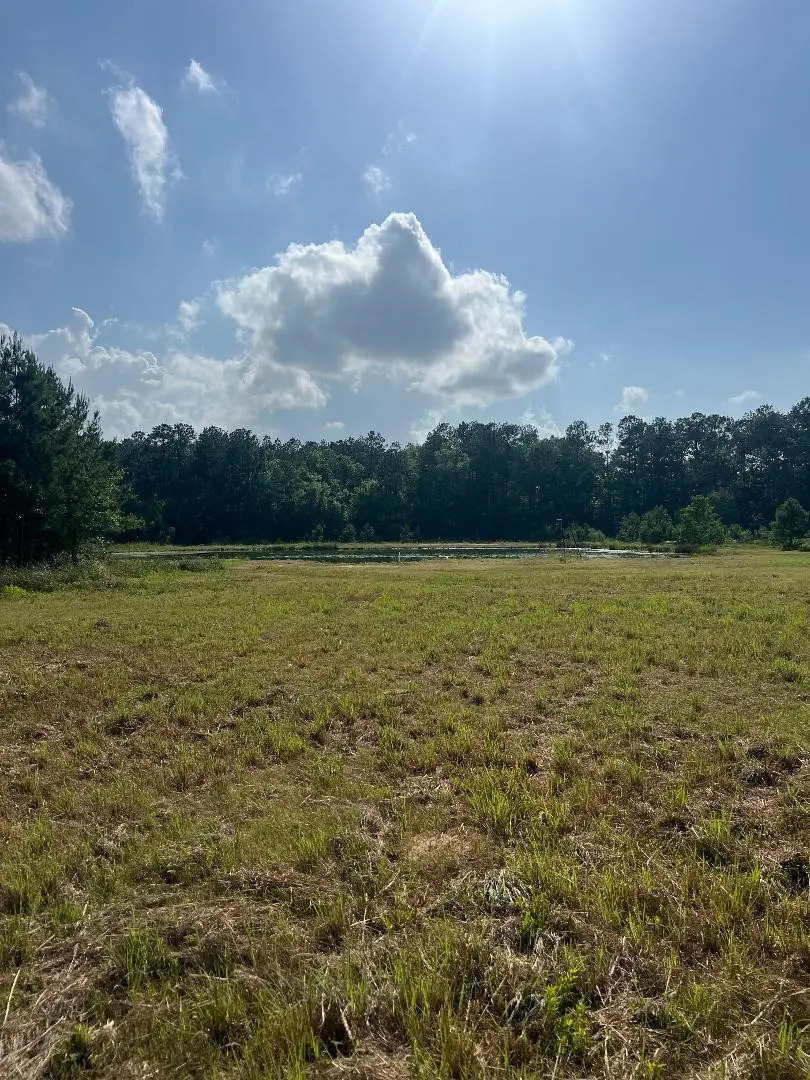 24980 Blackburn Dr, Splendora, TX 77372 - #1