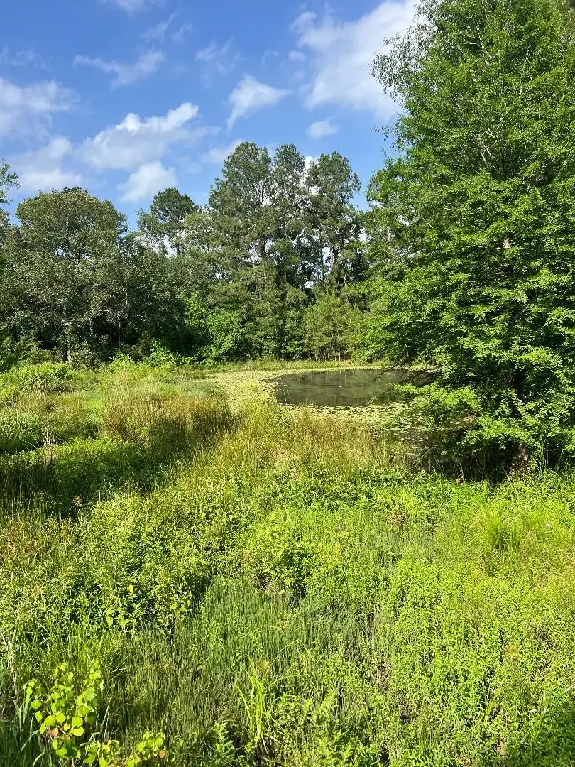 24980 Blackburn Dr, Splendora, TX 77372 - #2
