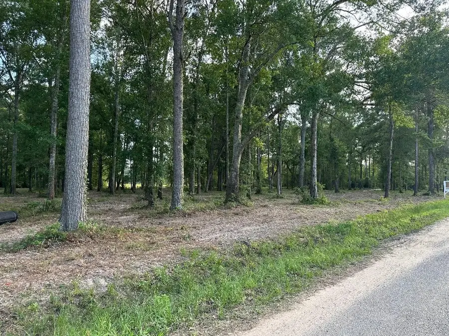 24980 Blackburn Dr, Splendora, TX 77372 - #3