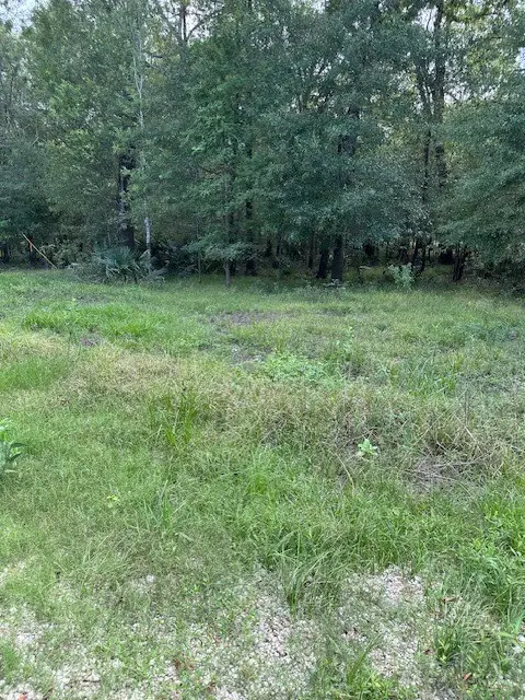 TBD Walker Dr, Cleveland, TX 77327 - #3