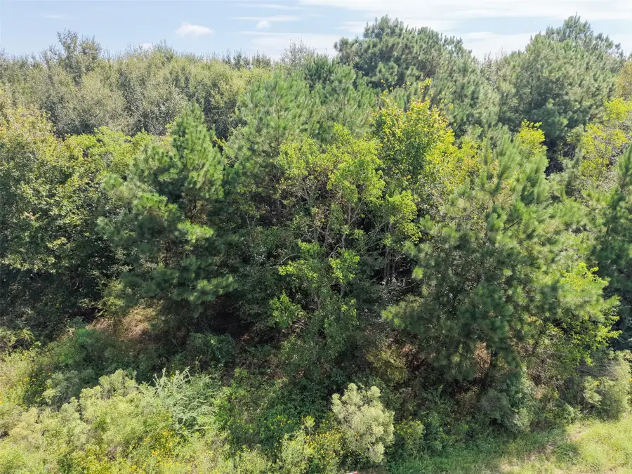 000 Hwy 105 Bypass, Cleveland, TX 77327 - #2