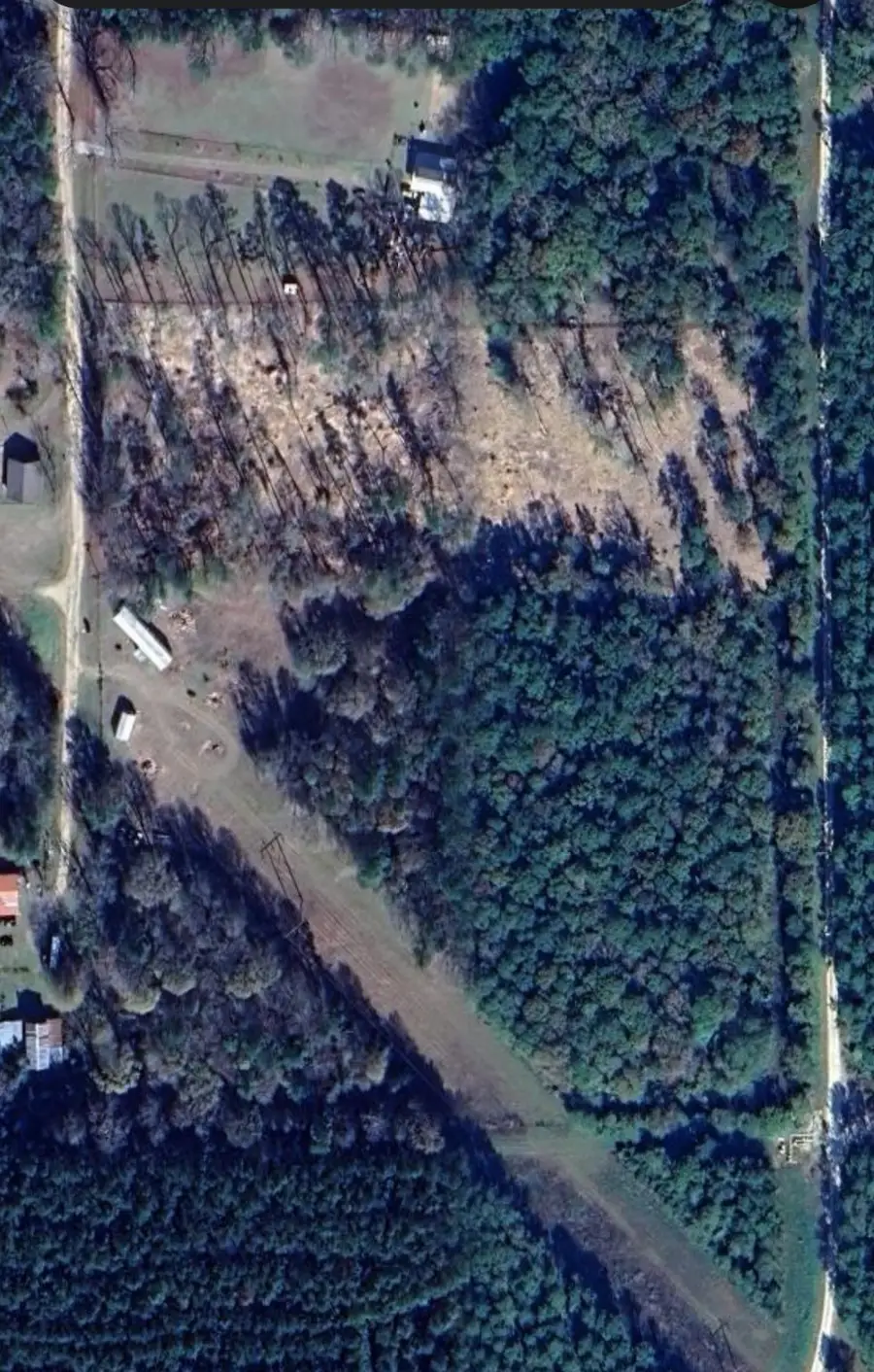 1353 Plum Pudding Road, Livingston, TX 77351 - Image #2