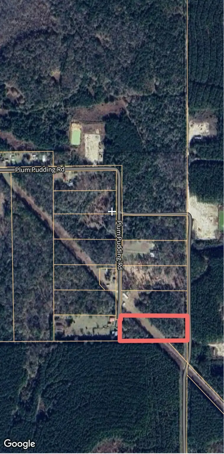 1353 Plum Pudding Road, Livingston, TX 77351 - Image #3