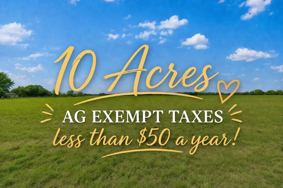 13012 County Road 184, Alvin, TX 77511 - #3