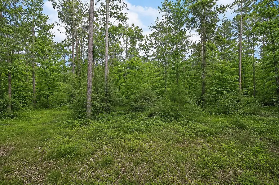 247 County Road 6763, Dayton, TX 77535 - #3
