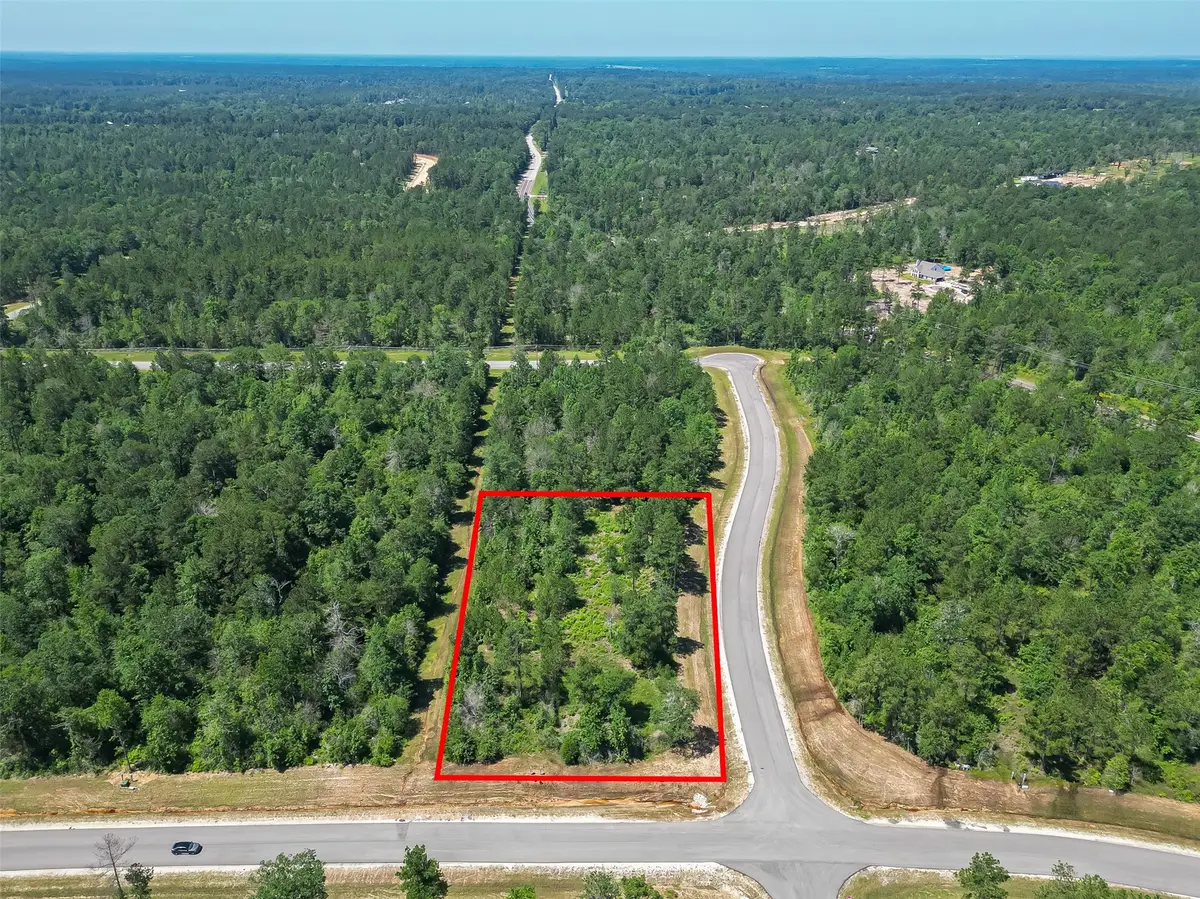 123 Gypsum Road, Willis, TX 77378 - #1