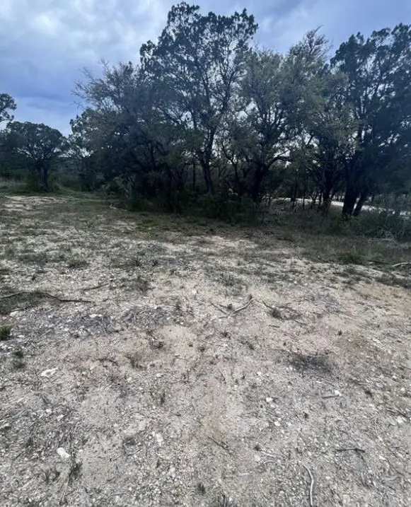 19705 Tyler Trail, Leander, TX 78645 - #1