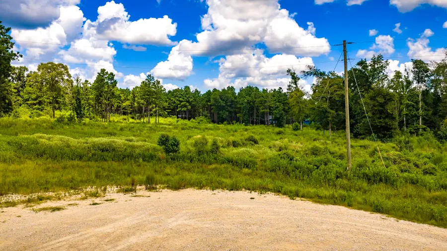 00 Bonfire Bend, Livingston, TX 77351 - #2