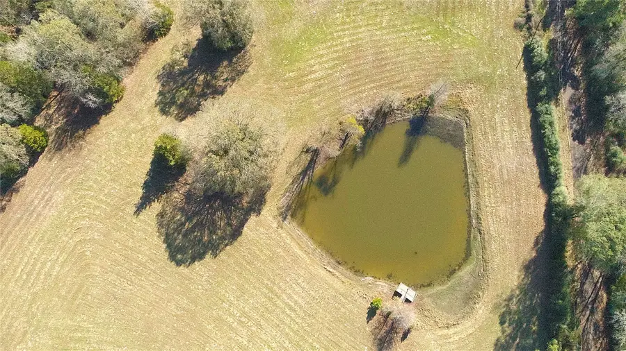 TBD County Road 149, Centerville, TX 75833 - Image #2