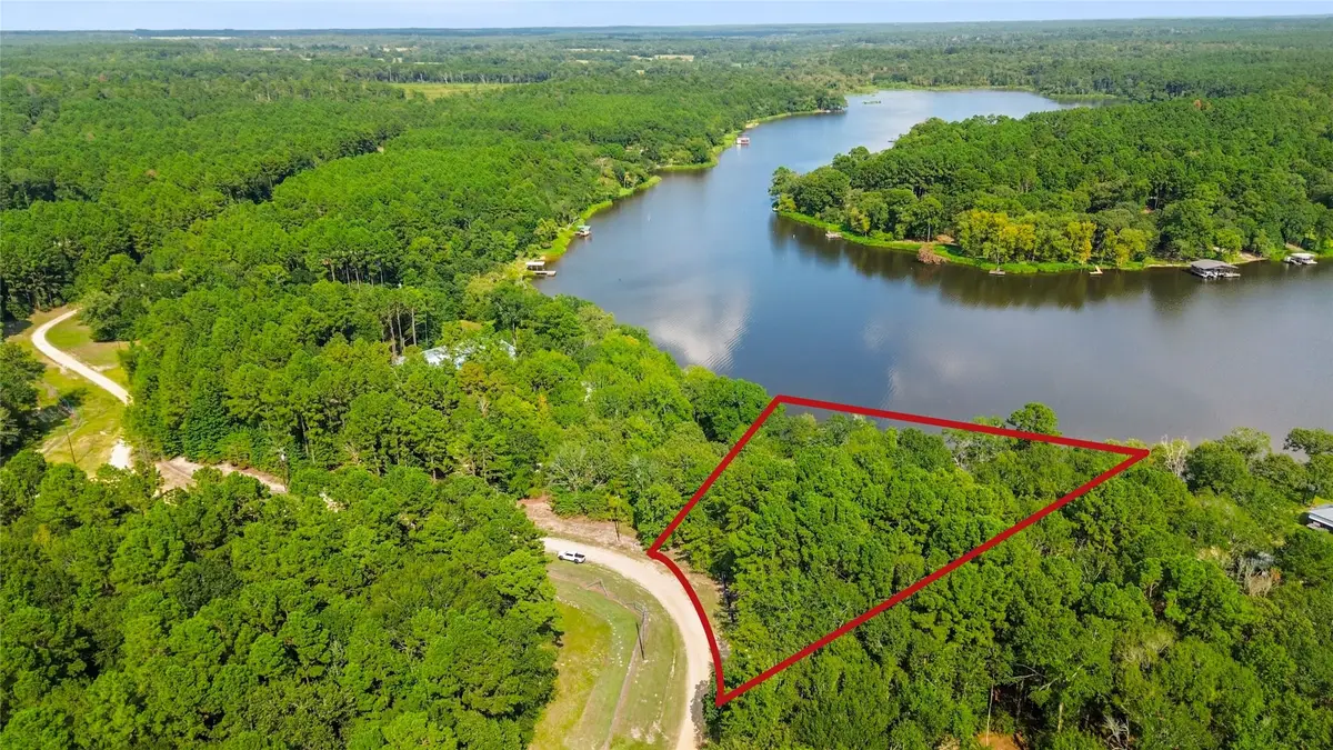 0 Pine Island Cove Road, Grapeland, TX 75844 - Image #1