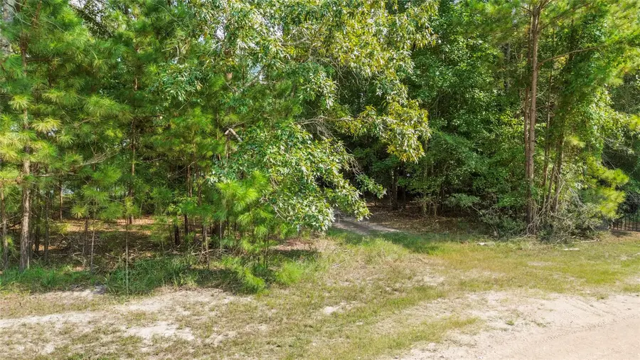0 Pine Island Cove Road, Grapeland, TX 75844 - Image #3