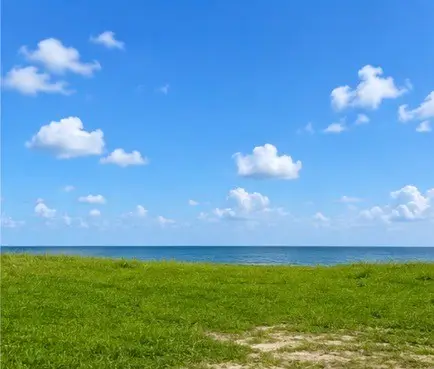 1414 Todville Road, Seabrook, TX 77586 - #3