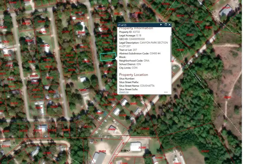 193 Coushatta, Onalaska, TX 77360 - #3