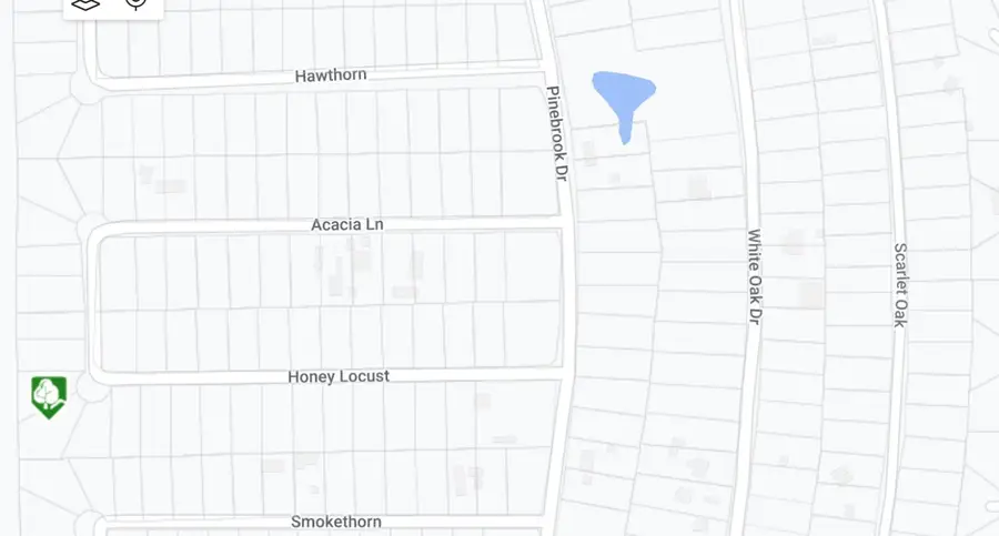 TBD Honeylocust Lane, Plantersville, TX 77363 - Image #2